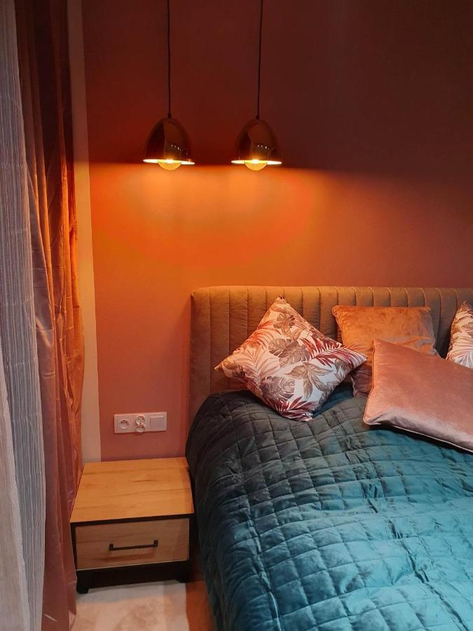 Apartament 3 Pokojowy Lub Pokoj W Mieszkaniu W Nowym Bloku Warszawa Eksteriør bilde