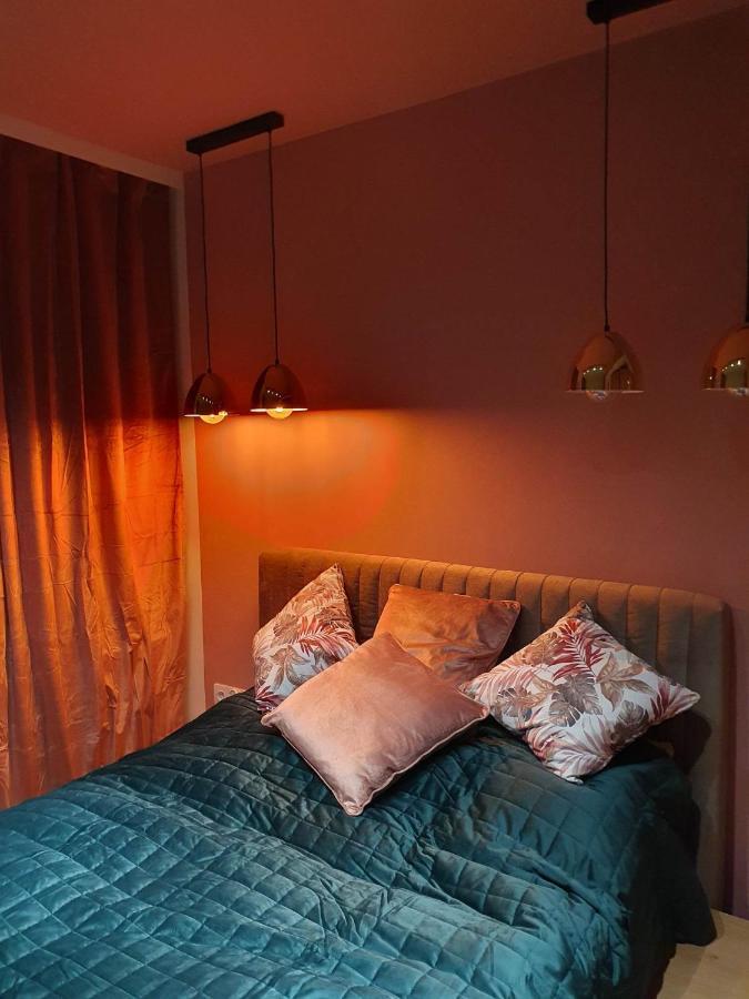 Apartament 3 Pokojowy Lub Pokoj W Mieszkaniu W Nowym Bloku Warszawa Eksteriør bilde